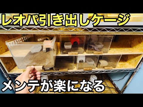 【maimai】引き出し型レオパケージ　4個セット Amazon.co.jp: GEX EXOTERRA レプテリア レオパ飼育キットM