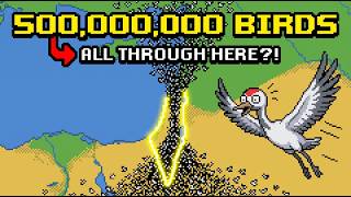 Half a billion birds fly over this tiny country