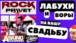 Rock Privet - лабухи и воры на вашу свадьбу #rockprivet #dabro #askingalexandria  #реакция #кавер