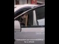 Car Company accepts PI