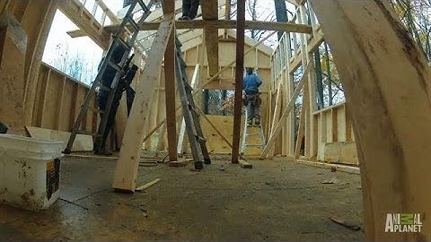 Time Lapse: Wild Butterfly Escape | Treehouse Masters