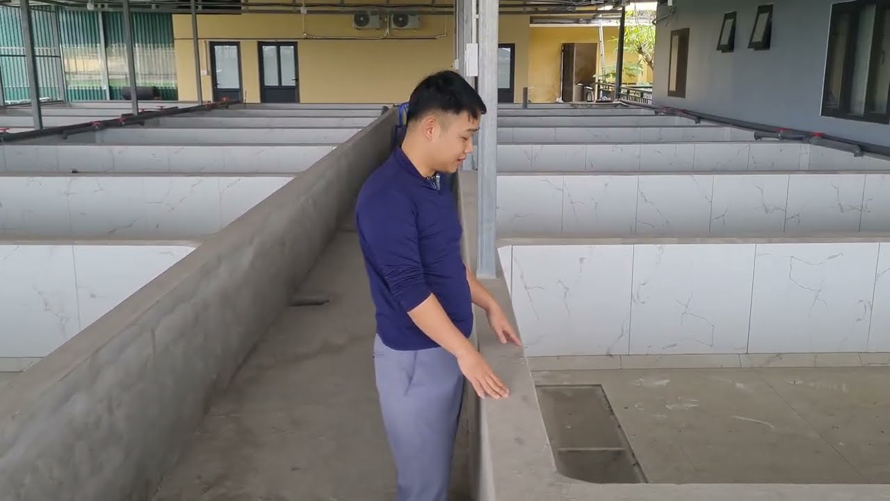 Thiết kế trại lươn theo hướng hiện đại | Thủy sản Hùng Tiến