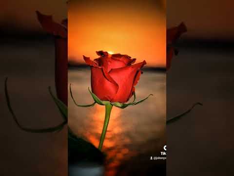 Evdeki Saat -