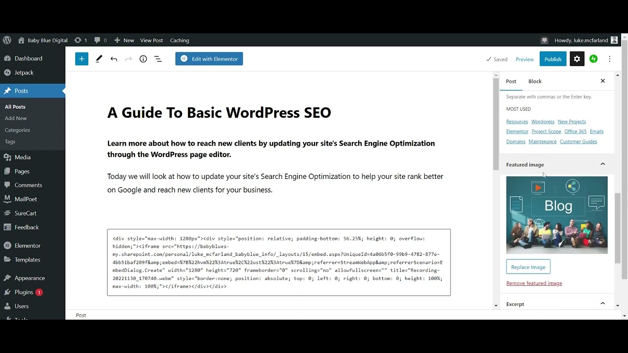 WordPress: A Guide To Basic WordPress SEO - YouTube