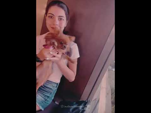 اوووص هيك بدها داليدا داليدا خليل حب Mhboobah79 