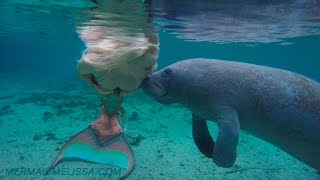 Mermaid Melissa And The Loving Manatees