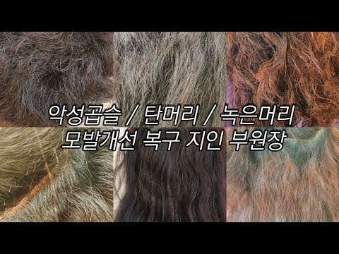복구 매직 복구매직 탄머리 악성곱슬 녹은머리 복구하기  straight hair perm