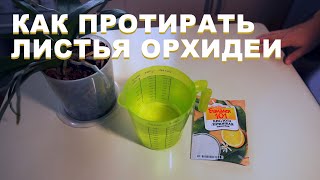 Как протирать листья орхидеи лимонной кислотой или лимоном от налета или пыли.