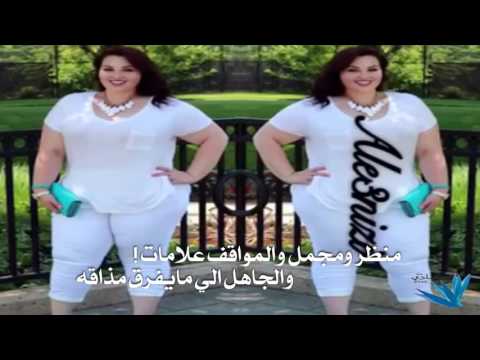 شيلة السمينات كلمات علي المدلول اداء منيف المطلق مونتاج كادي الريم 