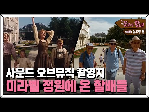 영화의 정취 가득한 정원에서 사운드오브뮤직을 재현하는 순수한 할배들🌼 | #꽃보다할배_동유럽편 EP5-15