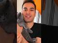 INTERVISTA TRIPLA CON BELLAFACCIA E SUO FIGLIO BABYFACCIA😍 #giox97 #shorts #bellafaccia #gatto