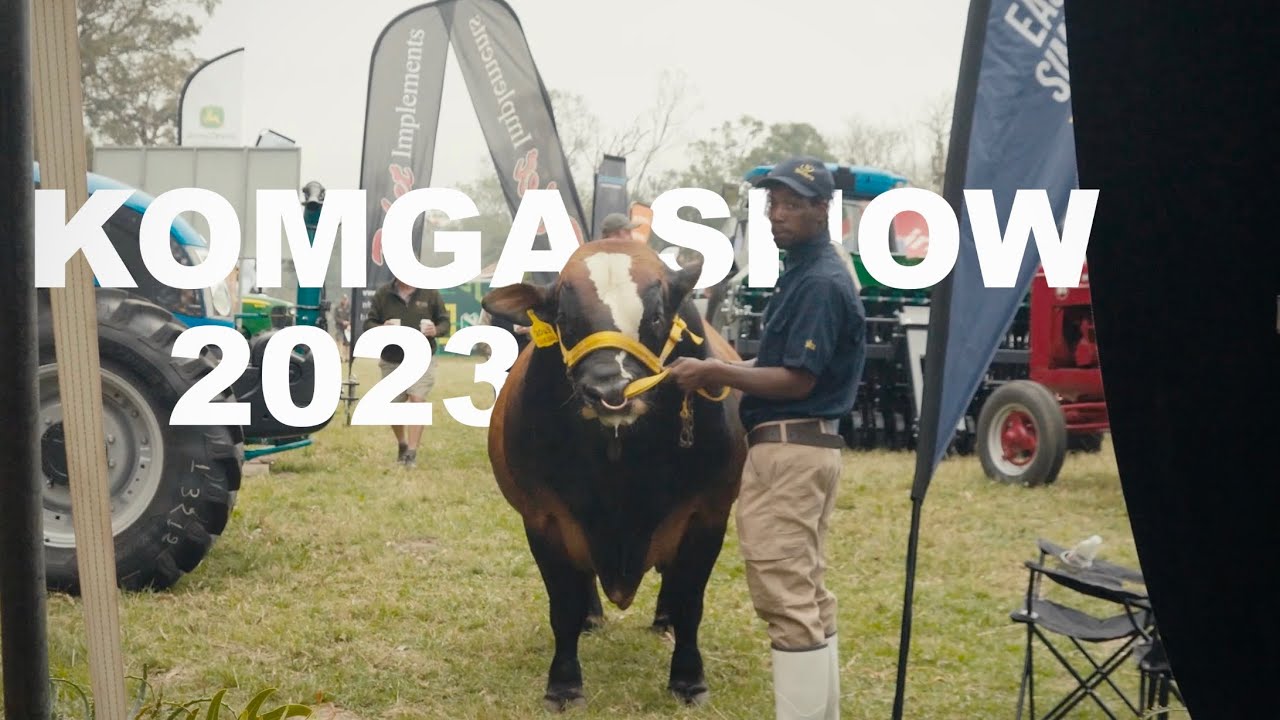 East Cape Simbra Club at Komga Show 2023 ft PJ Budler YouTube