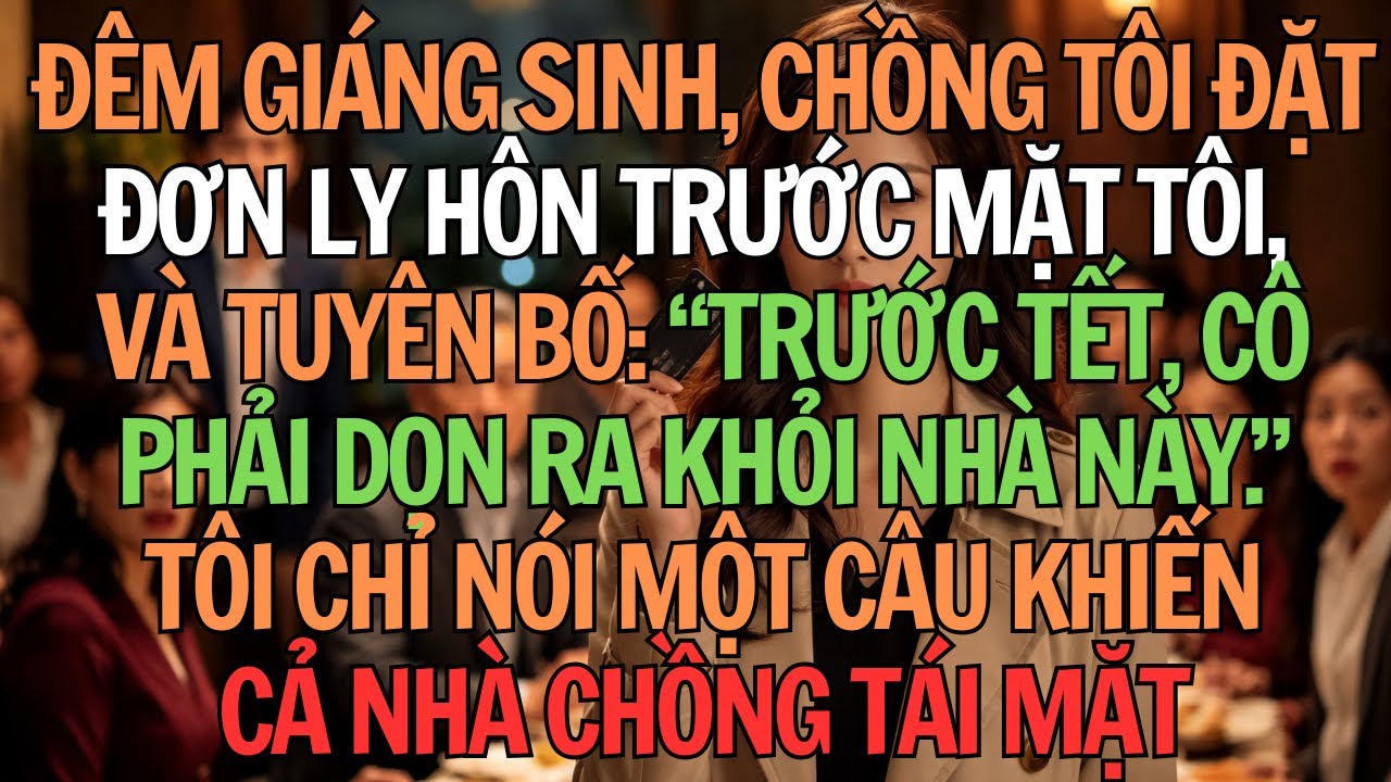 Bị Đưa Đơn Ly Hôn Giữa Tiệc Giáng Sinh, Tôi Rút Thẻ Đen Khiến Cả Nhà Chồng Câm Lặng