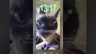 wow my 8.5 one ui a56