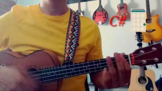 Video thumbnail of "Un ratito Andrés cepeda (ukelele)"