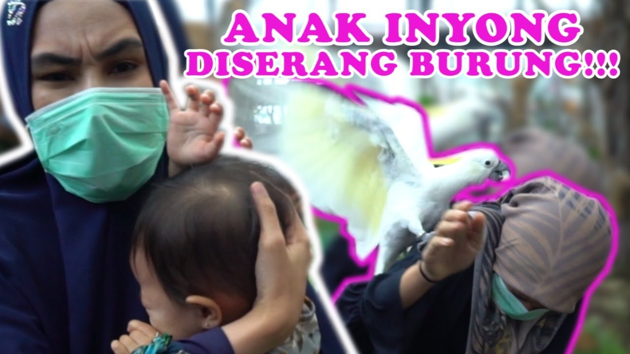 KARTIKA PUTRI LIBURAN BARENG KELUARGA KE LEMBANG PARK ZOO