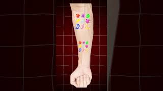 Tiny Tenantsthe Microbial Life Hiding In Your Microwave