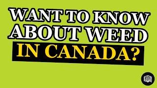 The BEST Free Cannabis Education in Canada (7 Teachers, 5 Lanes, 1 Lie)