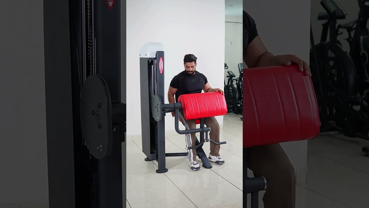 Arm Curling Machine - Paganni Series Selectorized Pin Loaded Machines