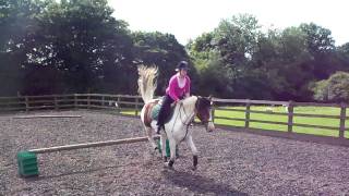 Jumping Jasper In Cool Arena;♥