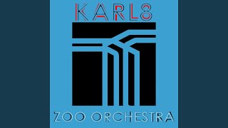 Zoo Orchestra (Extended Mix)