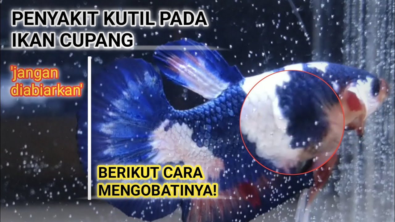 13 Cara Menghilangkan Mual Lantaran Asam Lambung Naik Wajib 