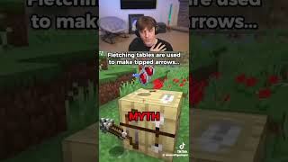 Are These Minecraft Myths TRUE?