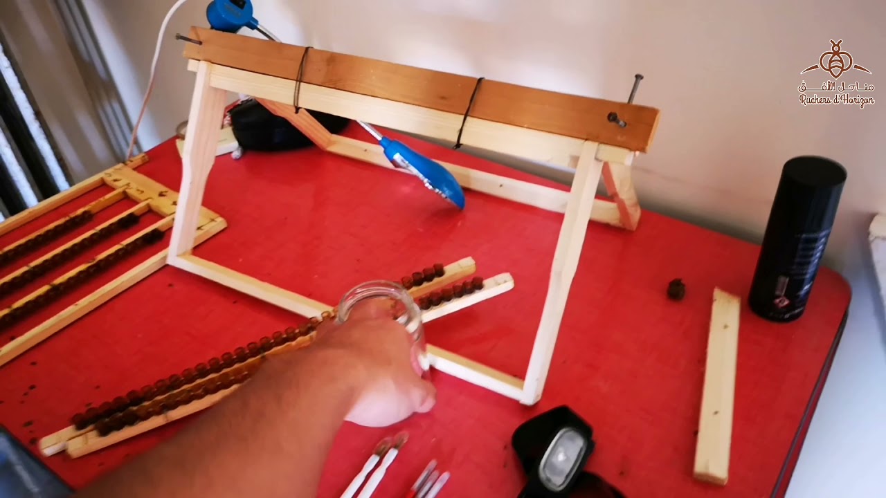 دورة تكوينية في انتاج الغذاء الملكي (جزء 1)