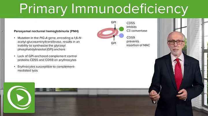 Primary Immunodeficiency – Immunology | Lecturio