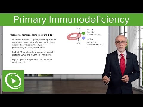 Video: Immunodeficiencies