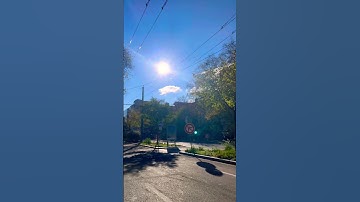 #egzonibrahimi #سورة_الإخلاص #ikhlas #goodmorning #birds #lifeisbutadream #love #travel