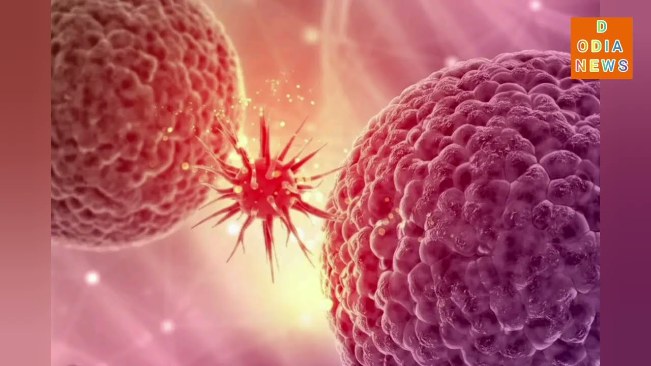 Cancer 2030 lung cancer patients in India is expected to increase by 2030. The report said