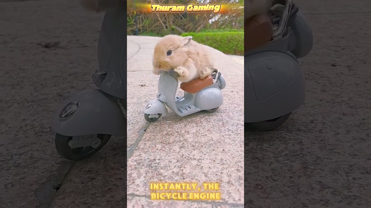a rabbit playing with his electric motorbike 