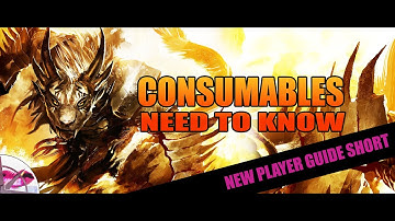Guild Wars 2 New Player Guide 2022 Short |  Consumables Need to Know