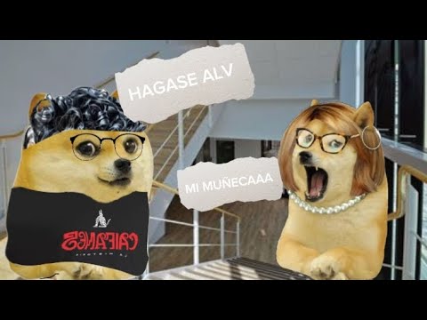 LA VEZ QUE MANDAMOS UNA MAESTRA AL HOSPITAL|VOIDCHEEMS