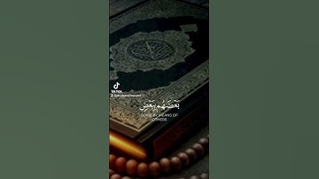 #قرآن #راحه #صلوا_على_النبي #قران_كريم #تلاوة_خاشعة #سبحان_الله #تلاوة_مميزة #تلاوات
