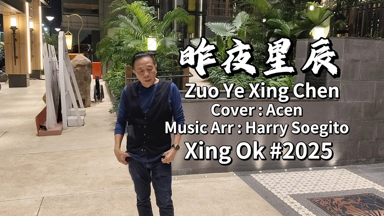 Zuo Ye Xing Chen 昨夜星辰 Cover by Acen