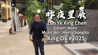 Zuo Ye Xing Chen 昨夜星辰 Cover by Acen