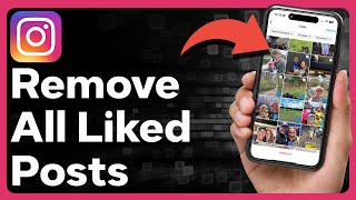 How To Remove All Liked Posts On Instagram