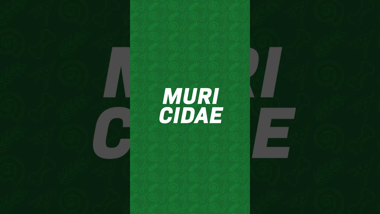 Patrimonio en 1 minuto (Acanthina) 