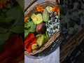 Jauchhi mu Siva mandira#maha shivaratri 🙏