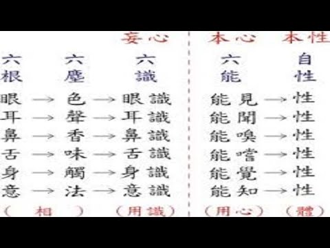 真心與識心的分別?(中文繁體字幕)
