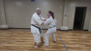 Pinan Nidan opening sequence bunkai