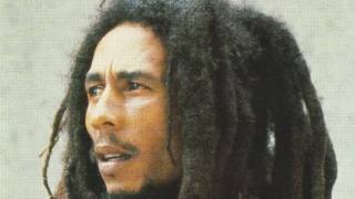 Bob Marley 12 Inch Vinyl Mix Vol. 4 🔥 Rare Jamaican Tuff Gong Reggae & Dub Classics