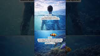 Kur’an’da Geçen Bilimsel Gerçekler#KuranveBilim #KurandaMucize #İslamiBilgiler #ShortVideo #Keşfet