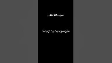 وَقُل رَّبِّ أَعُوذُ بِكَ مِنۡ هَمَزَٰتِ ٱلشَّيَٰطِينِ  / سورة المؤمنون / القارئ إسلام صبحي 🌿🤍