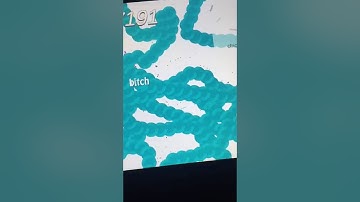 Snake.io world record