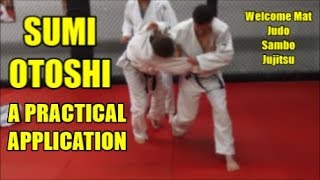 SUMI OTOSHI A Practical Application screenshot 5