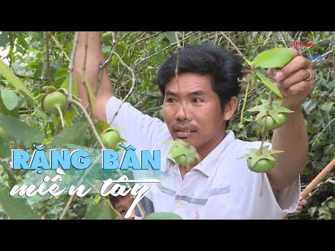 Video: Bạn gọi người trông cây là gì?