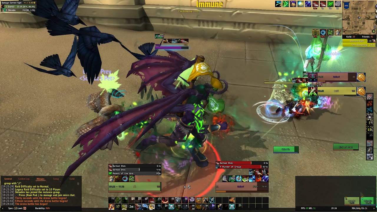 Beast Mastery Hunter 2v2 | WoW 8.0 BfA PvP